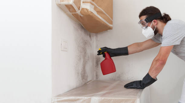 Professional Crawl Space Mold Remediation technician working in Jarratt, VA