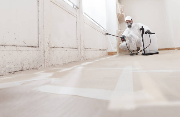 24/7 Emergency Crawl Space Mold Remediation experts in Jarratt, VA